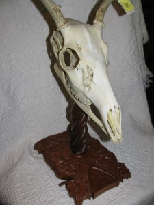 Deer Skull Mount | Custom Woodworking by DJP Artistry