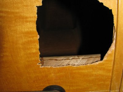 Instrument Restoration | Custom Woodworking by DJP Artistry