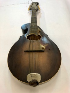 Mandolin Restoration - Before 2