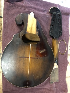 Mandolin Restoration - During Repair